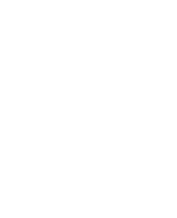 StryxOS
